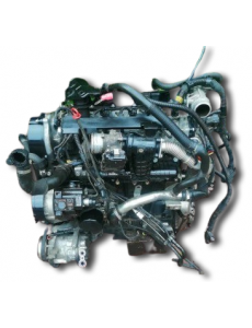 Motor Usado Fiat Ducato 2.3 D MJet 150cv F1AE3481E